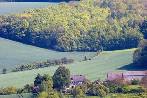 SDIM9396_ars250.jpg SDIM9396_ars250.jpg