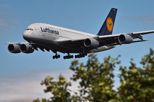 comp_SDIM8681_1-1 Kopie.jpg