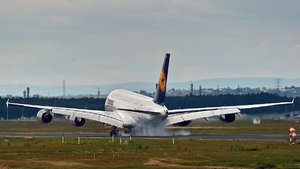 comp_SDIM8687_1-1 Kopie.jpg