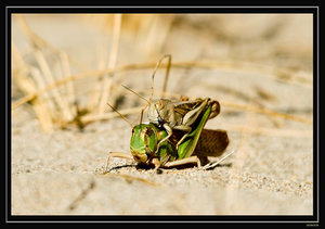 001638.jpg 001638.jpg