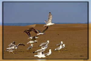 001696.jpg 001696.jpg