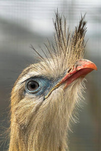 -Ich bin der Schönste-.jpg -Ich bin der Schönste-.jpg