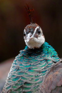 sample 1.jpg sample 1.jpg