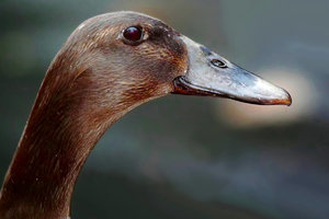 sample 2.jpg sample 2.jpg