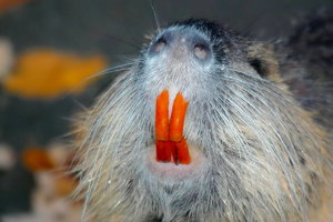 sample 3.jpg sample 3.jpg