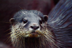 sample 6.jpg sample 6.jpg