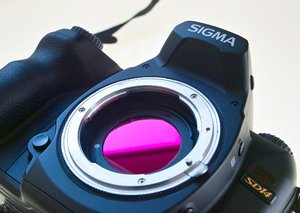 SDIM0231 vorne ohne Objektiv.jpg