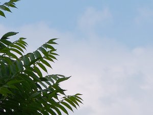 ISO400 +2-2.jpg ISO400 +2-2.jpg