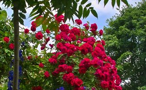 ISO100 +-0 2.jpg ISO100 +-0 2.jpg