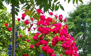 ISO400 +-2 2.jpg ISO400 +-2 2.jpg