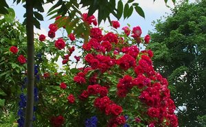 ISO400 +2-3 2.jpg ISO400 +2-3 2.jpg