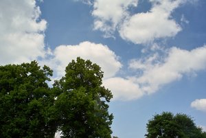 ISO100 +-0.jpg ISO100 +-0.jpg