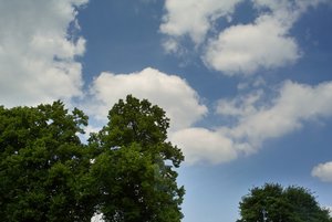 ISO400 +-2.jpg ISO400 +-2.jpg