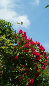 ISO400 +-2 2.jpg ISO400 +-2 2.jpg