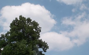 ISO100 +-0.jpg ISO100 +-0.jpg