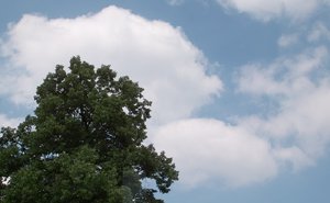 ISO400 +-2.jpg ISO400 +-2.jpg