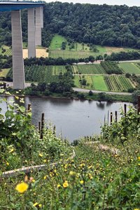 comp_SDIM1167_1-1 Kopie.jpg