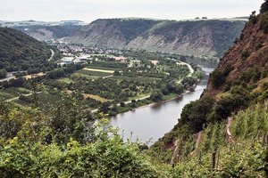 comp_SDIM1160_1-1 Kopie.jpg