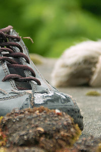 Forum 2SchuhForum.jpg