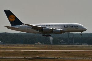 comp_SDIM9121_1-1 Kopie.jpg