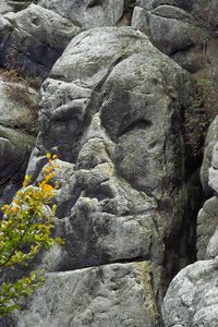 Gesicht-SD14 - SDIM2883.jpg