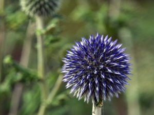 comp_SDIM9206_1-1 Kopie.jpg