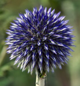 comp_SDIM9206_1-1 Kopie_1.jpg