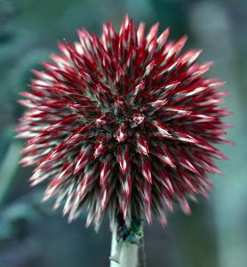 comp_SDIM9206_1-1 Kopie_2.jpg