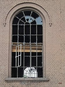 4 IMG07061 (c) PPf.jpg