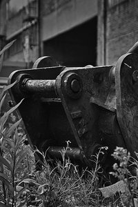 sw IMG06943sw_ji (c) PPf.jpg