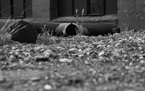 sw IMG06970sw (c) PPf.jpg