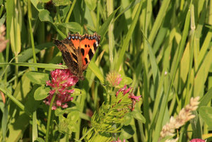 3-32s2bc7c.jpg 3-32s2bc7c.jpg