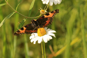 5-o7ey5fey.jpg 5-o7ey5fey.jpg