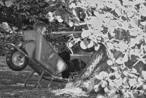 Bild 8.jpg Bild 8.jpg