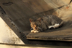 Bild10.jpg Bild10.jpg