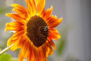 comp_IMG_8393.jpg comp_IMG_8393.jpg