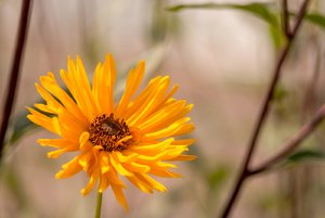 comp_IMG_8401.jpg comp_IMG_8401.jpg