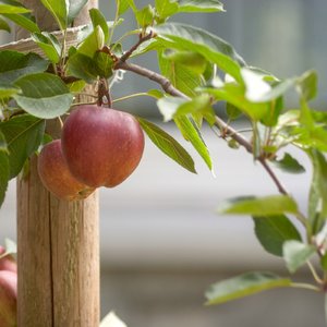 comp_IMG_8361.jpg comp_IMG_8361.jpg