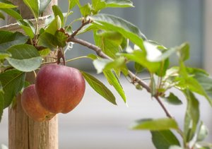 comp_IMG_8361+.jpg comp_IMG_8361+.jpg