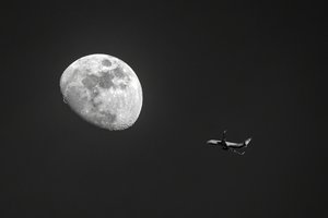 Fly me to the Moon H.W.jpg