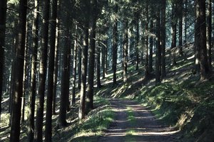 IMG_3871_03.jpg IMG_3871_03.jpg