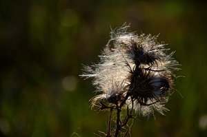 DSC_3754_ji_c.jpg DSC_3754_ji_c.jpg