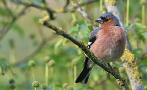 DSC_9747.jpg DSC_9747.jpg