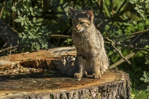 comp__DSC3498.jpg comp__DSC3498.jpg