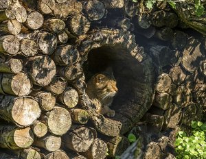 comp__DSC3503.jpg comp__DSC3503.jpg