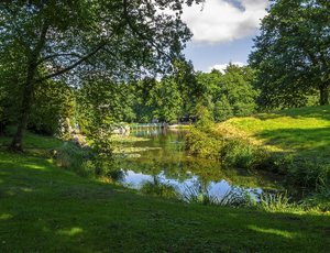 comp__DSC3606.jpg comp__DSC3606.jpg