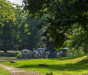 comp__DSC3544.jpg comp__DSC3544.jpg