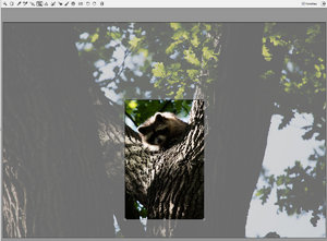 27-org.jpg 27-org.jpg