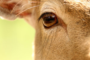 IMG_0674a.jpg IMG_0674a.jpg