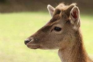 IMG_0659a.jpg IMG_0659a.jpg